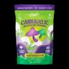 Cannadelics Microdose Gummies | Watermelon
